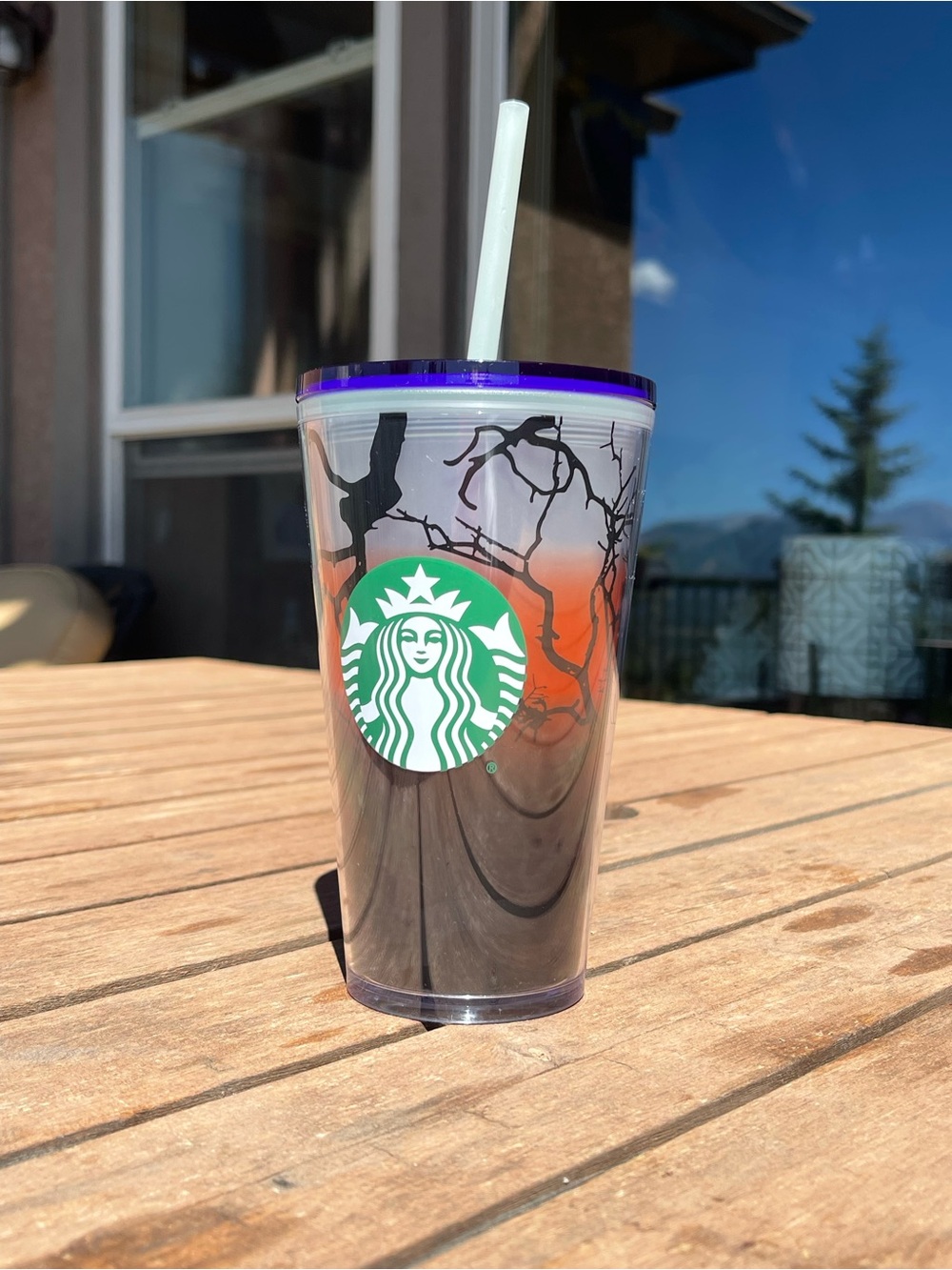 16oz Starbucks Halloween Tumbler 2022 Raven Perch Glow In The Dark with Straw